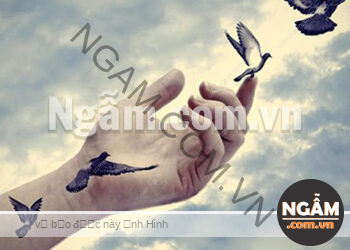 Không Ai Là Không Thể Thay Thế, Không Có Thứ Gì Là Bắt Buộc Phải Có Trong Tay