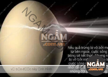 Ngẫm, Góc Suy Ngẫm, Ngẫm Về Cuộc Đời, Ngẫm Về Cuộc Sống, Vỡ Từ Bên Ngoài Cái Chết Bắt Đầu Vỡ Từ Bên Trong Sự Sống Bắt Đầu