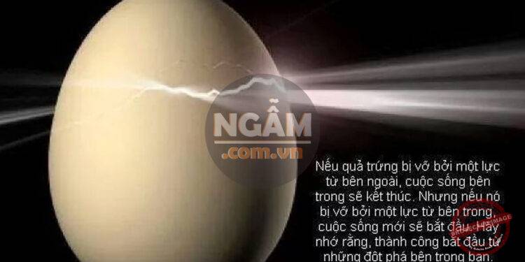 Ngẫm, Góc Suy Ngẫm, Ngẫm Về Cuộc Đời, Ngẫm Về Cuộc Sống, Vỡ Từ Bên Ngoài Cái Chết Bắt Đầu Vỡ Từ Bên Trong Sự Sống Bắt Đầu