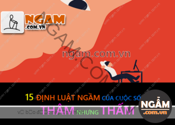 15 Định Luật  Ngầm Của Cuộc Sống THÂM nhưng THẤM