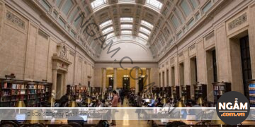 9 Câu Nói Nổi Tiếng Trên Tường Thư Viện Đại Học Harvard